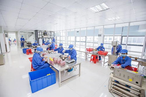 全网络推广助力食品OEM定制客户开发与业绩增长